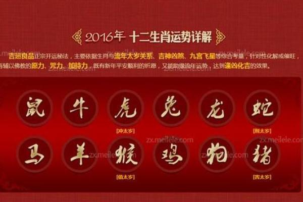 明年将是转运的一年吗？运势全解析