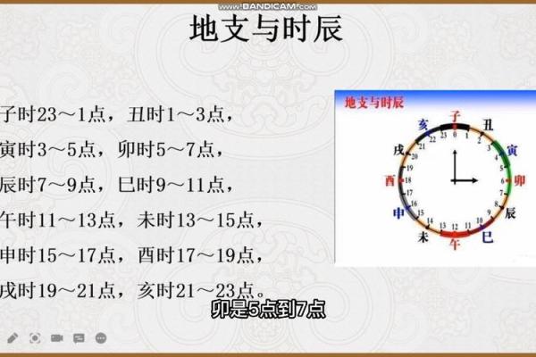 解密十二地支的历史背景与使用方式