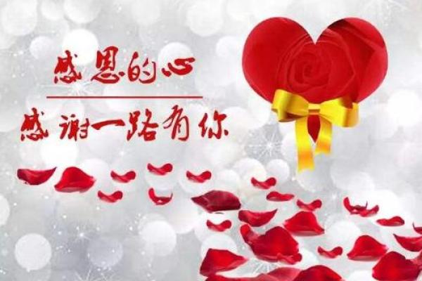 节日回顾：感恩节和其他值得庆祝的日子