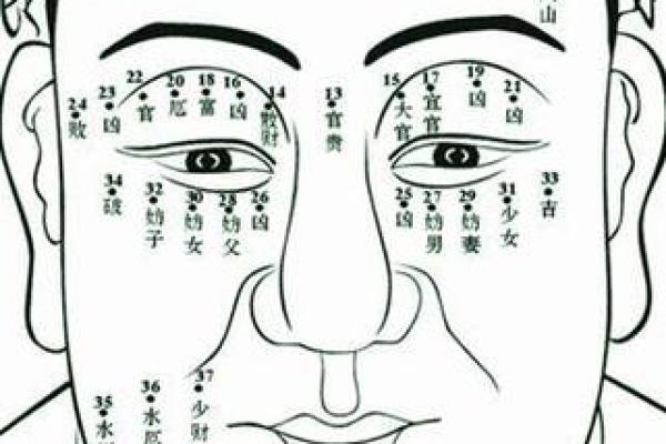面相痣相与命运：女人脸上哪些痣代表好运