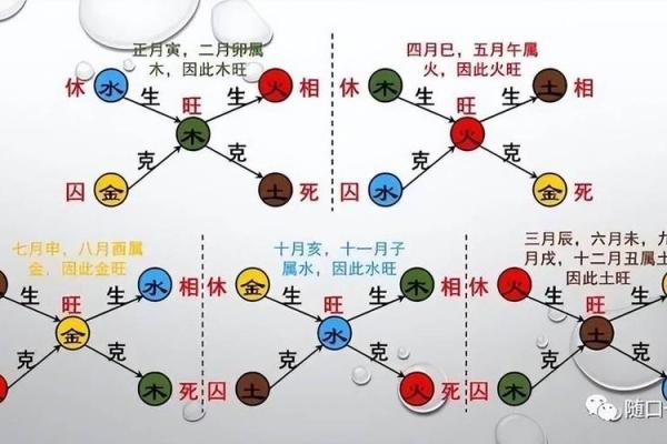 命理宝鉴中的五行相生相克与人生命运的关系