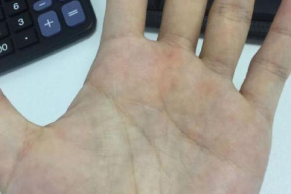 在线免费手相分析，揭示你的人生运势和未来走向