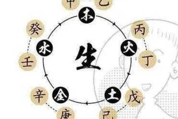了解今天天干地支带来的能量变化