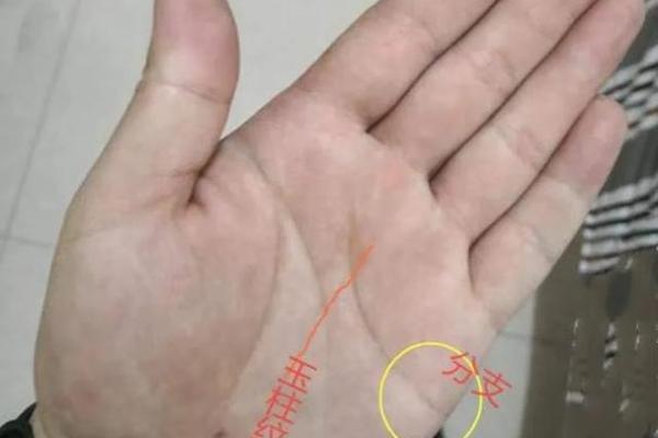 右手川字纹手相的女人有哪些性格特点和命运暗示