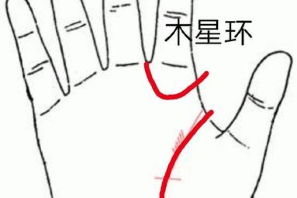 解读所罗门环手相的含义及其罕见程度