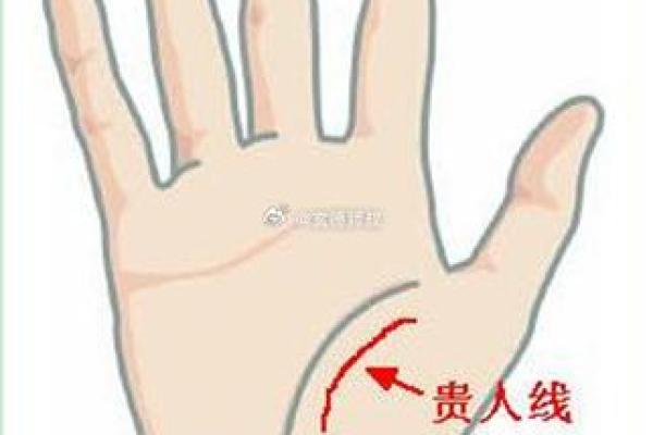 解读所罗门环手相的含义及其罕见程度