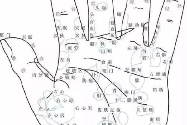 手指间的秘密：指纹与命运的紧密关联