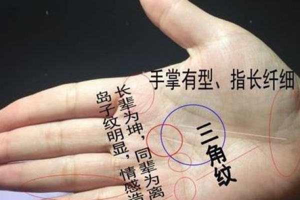 三角形纹路在手相学中的深层意义