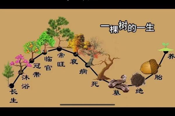命理大师谈命理学中的五行平衡与健康