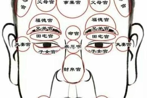 揭开命理十二宫的神秘面纱，了解你的人生图谱