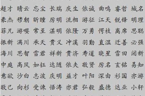熊姓宝宝取名的最佳建议与技巧