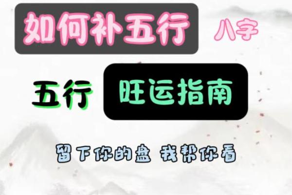 免费查询生辰八字五行解析，助你了解命运密码