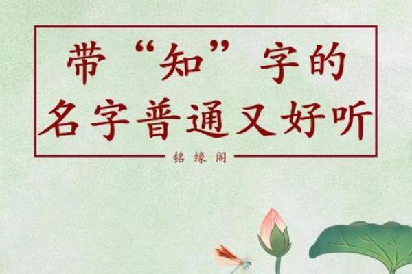 如何用林字为宝宝起个有意义的名字