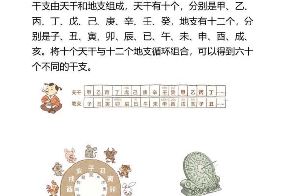 日天干地支：传统文化中的时间密码