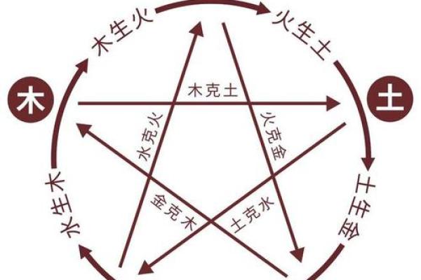地支中的官杀相生与相克：命理中的运势起伏