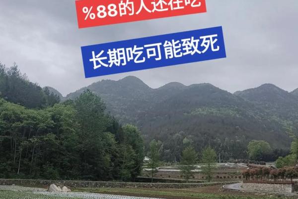 命理揭秘：谢娜背后的命运轨迹与性格分析