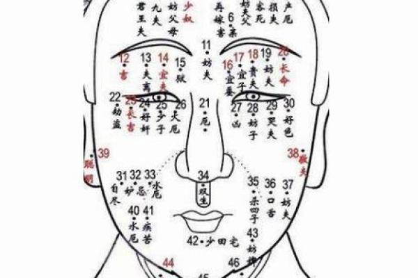 女人面部痣相与情感运势的神秘联系