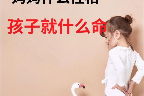 女性面相解析：揭示你内在性格与命运的秘密
