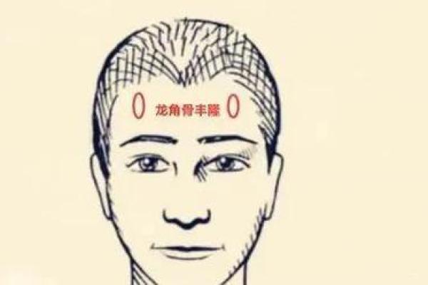 龙骨面相与运势：面部特征如何影响人生走向