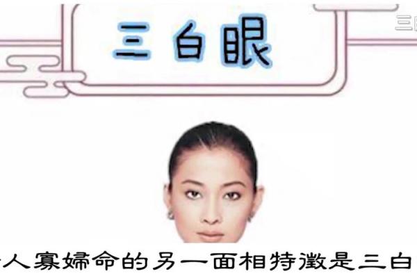 龙骨面相与运势：面部特征如何影响人生走向
