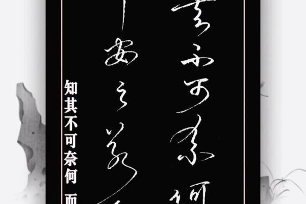 办公室楼层选择与风水运势的关系解析