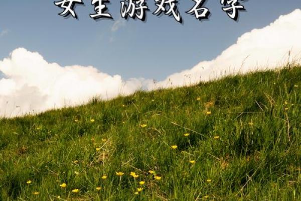 独特又创意十足的女生游戏名字推荐