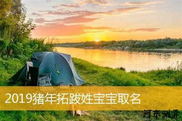 猪年宝宝起名技巧与寓意解析