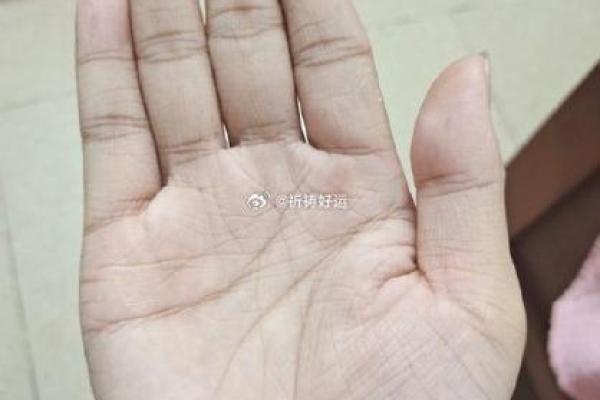 免费八字算命解析：揭示你命运的关键线索