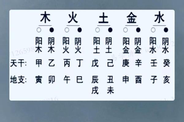 如何利用生辰八字天干地支查询进行个人运势分析