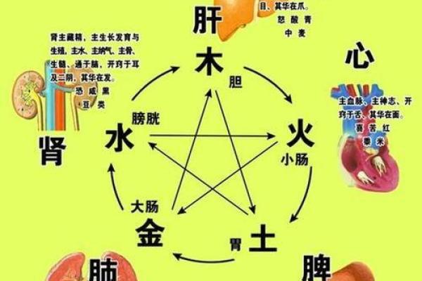 金字五行属性解析及其与五行相生相克关系