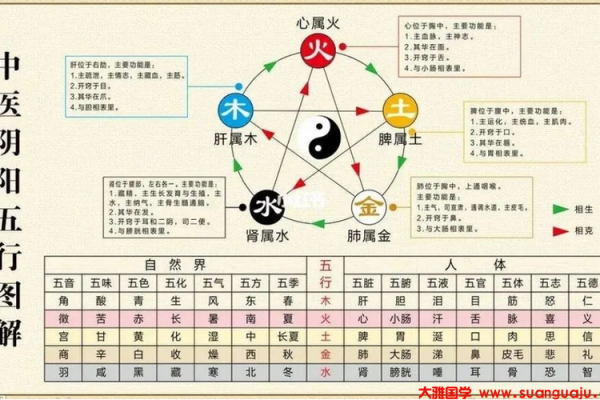 陈都灵八字分析：揭示她命运中的五行平衡与个性特征