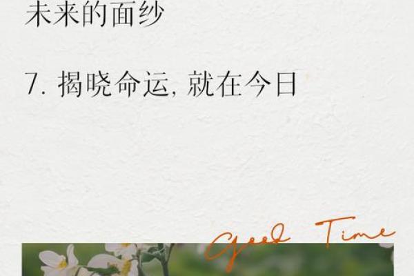 免费命理测算服务，精准分析你的未来