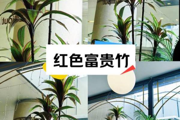 如何通过水景提升家居风水气场