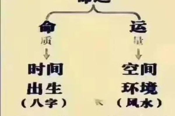 八字排盘解读：从命运轨迹看人生运势走势
