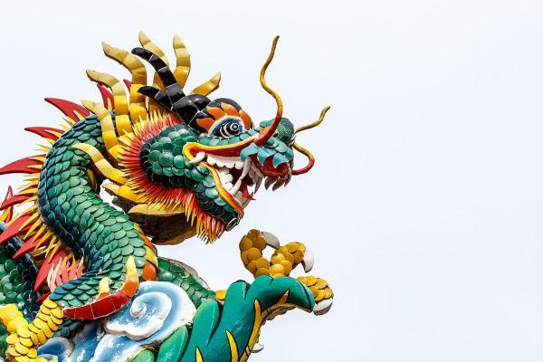 地支在中国传统文化中的重要性与深远影响