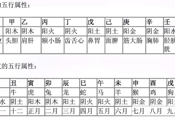 解密天干地支相克对人生运势的制约作用