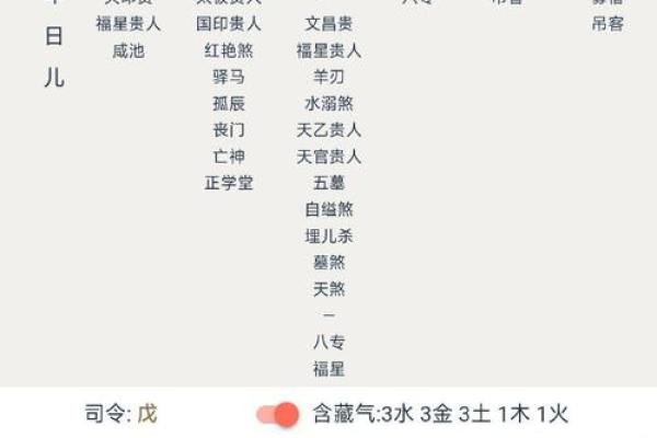 八字中日元的含义与作用解析