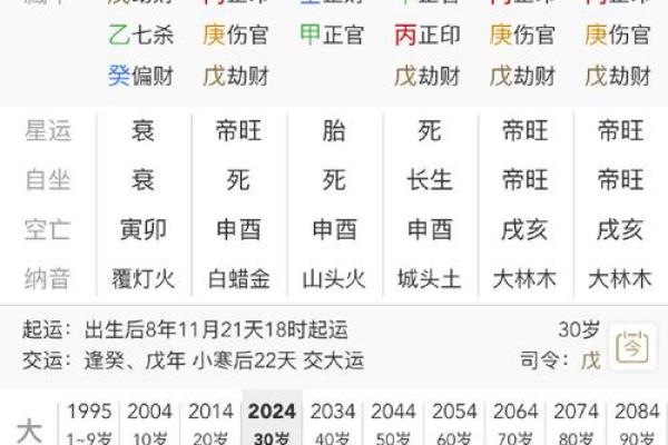 八字中日元的含义与作用解析