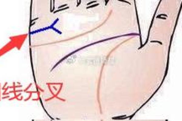 探索你的手相奥秘，在线免费算命预测人生