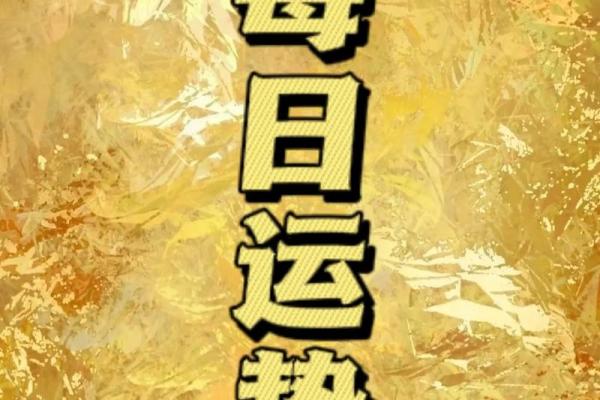 灵机文化算命：解读命运背后的智慧与玄机