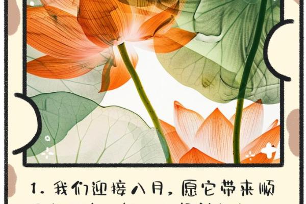 明年好运来袭？全年的运势走势分析