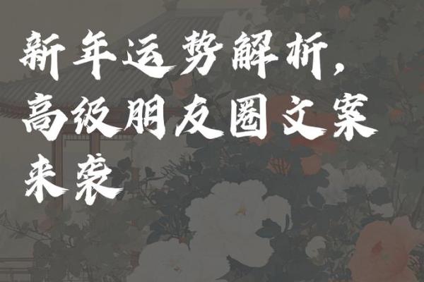 明年好运来袭？全年的运势走势分析