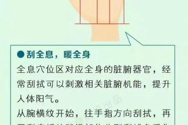 女性手相入门：揭开看哪只手能预测命运的奥秘
