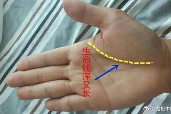 手相变化与年龄增长之间的关系