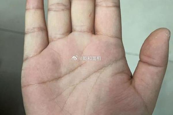 从手相看男人性格：手掌长于手指的独特象征