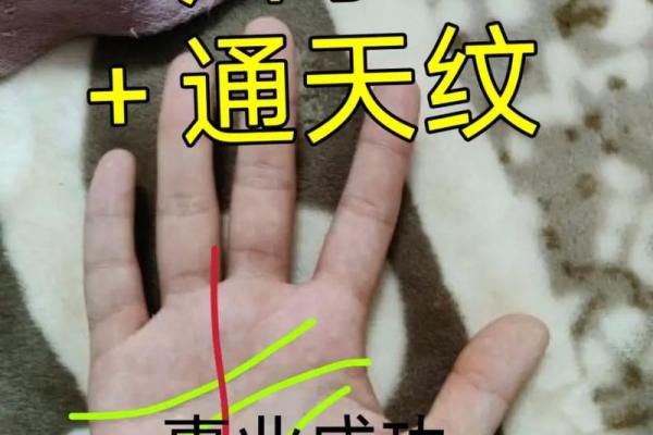 通天纹手相图解：从手中看透未来的秘密