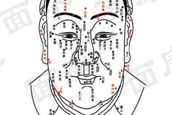 男性痣相图解：从痣的位置看人生运势