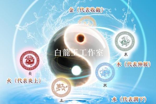 揭秘白龙命理：命运中的神秘力量