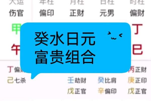 八字日元解析：如何通过日元分析命运趋势