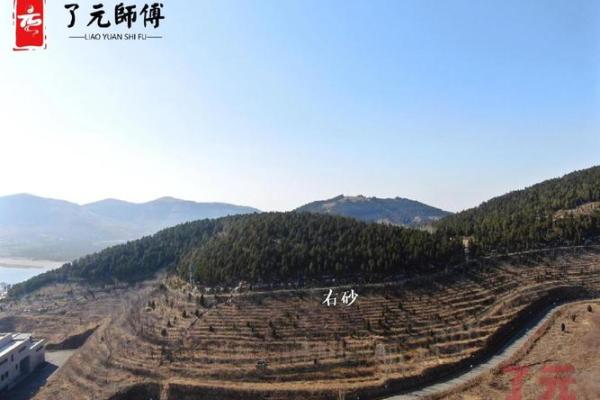 风水师如何为企业选址与办公环境提供指导